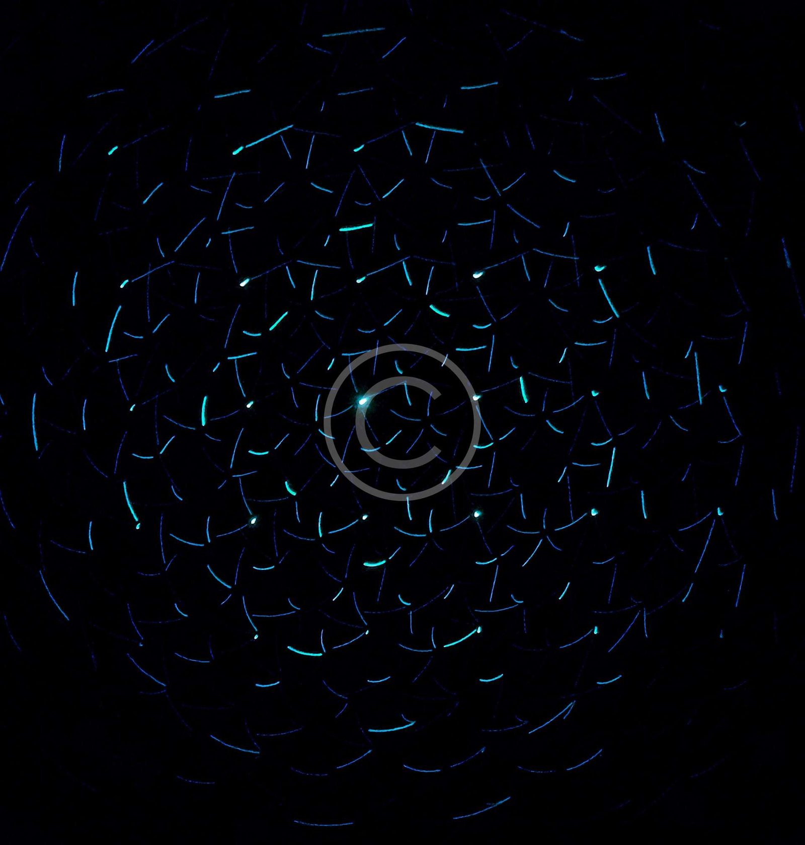 Digital